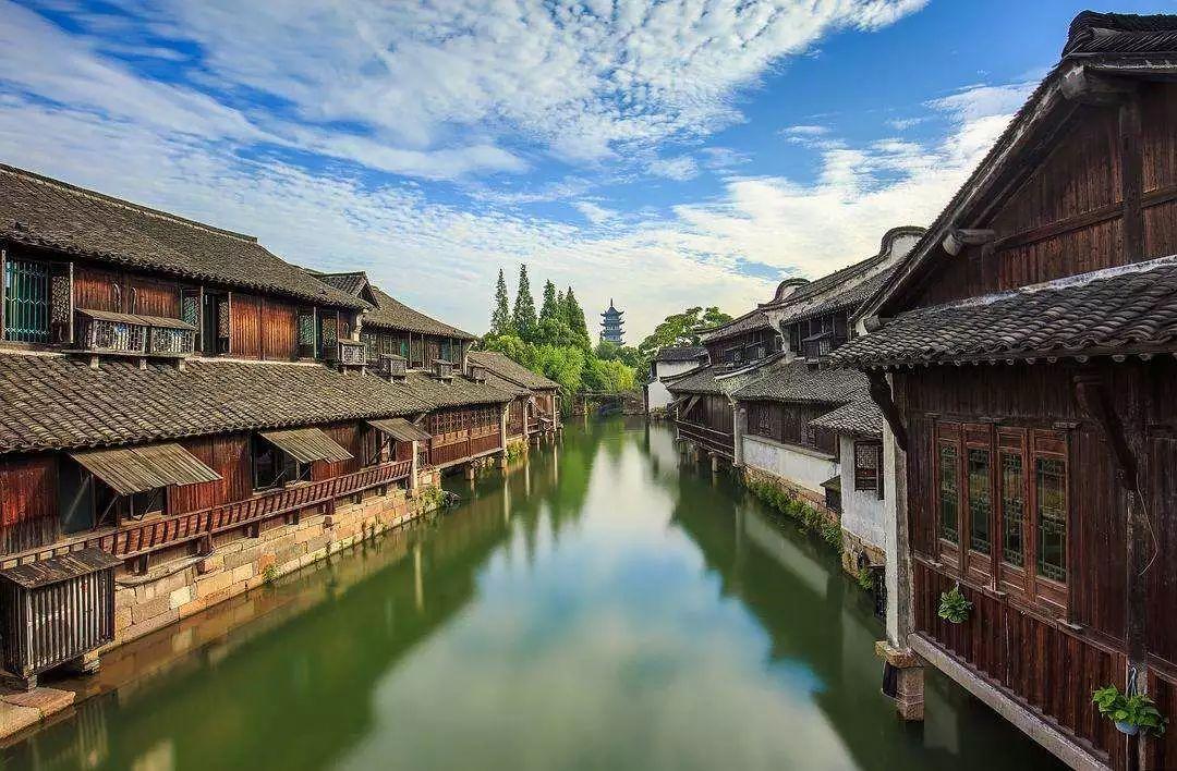 放飞笼中鸟
